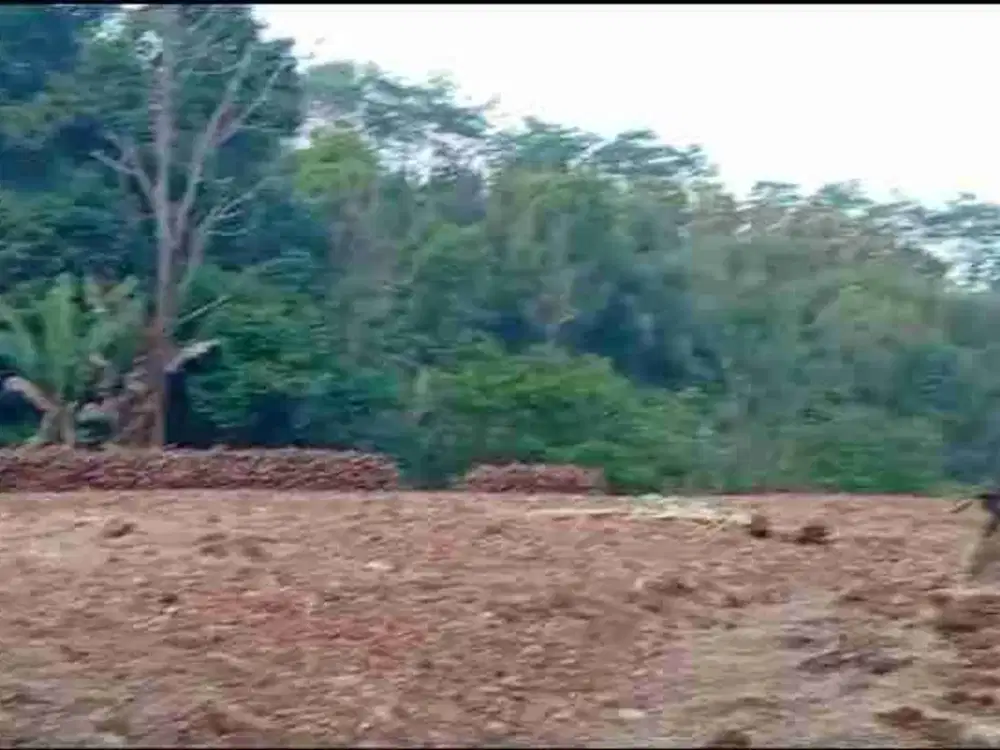 DI JUAL TANAH DARAT SANGAT COCOK UNTUK VILLA DAN INVESTASI MASA DEPAN .DEKAT SUMMARECON BOGOR