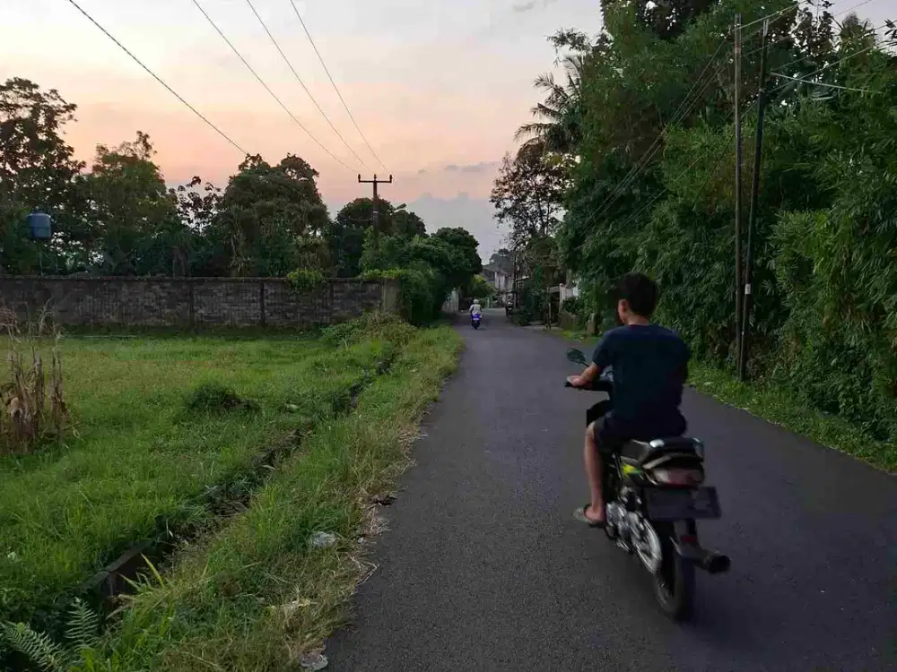 Di jual tanah darat sangaf cocok untuk hotel Resort dan cafe.yayasan bording scol Akes jln besar masuk bus