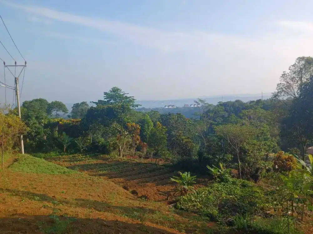 Tanah di Pancawati, Kab. Bogor Dekat cafe kebun jati dan cafe aranya