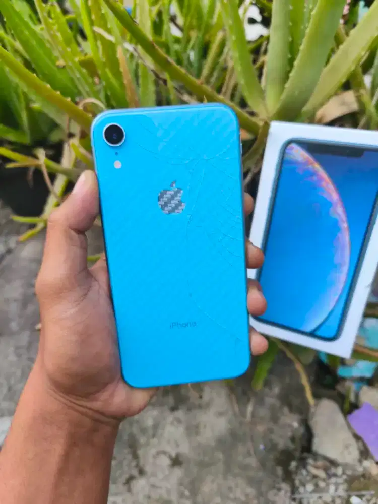 Iphone Xr 128gb Inter alloprator
