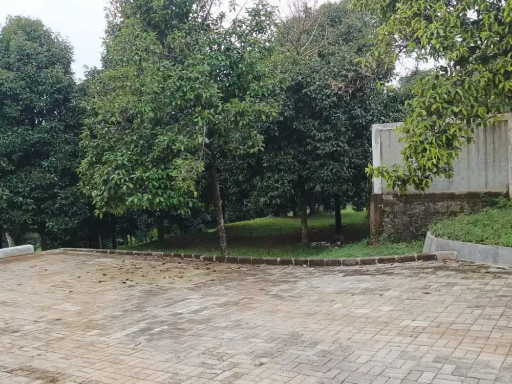 Tanah Darat di Cijayanti, Babakan Madang, Bogor