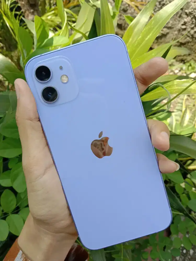 IPHONE 12 64 GB INTER