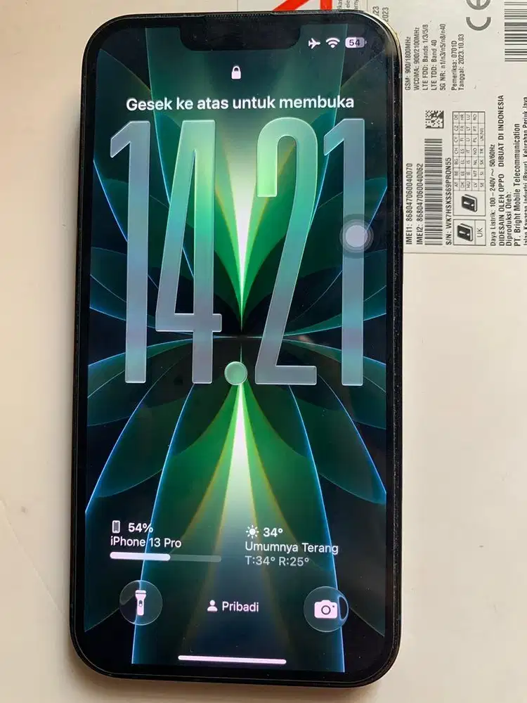 iPhone 13 Pro 256 GB Beacukai
