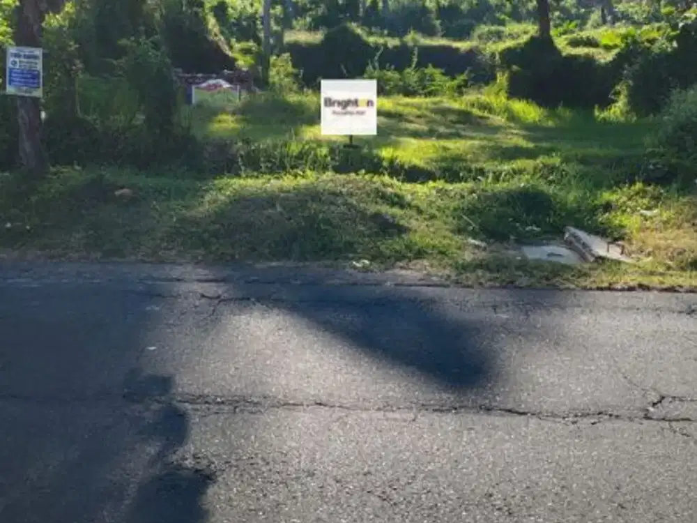 Min 5 Tahun Tanah 6 Are Hadap Barat Rangdu Seririt Buleleng Bali