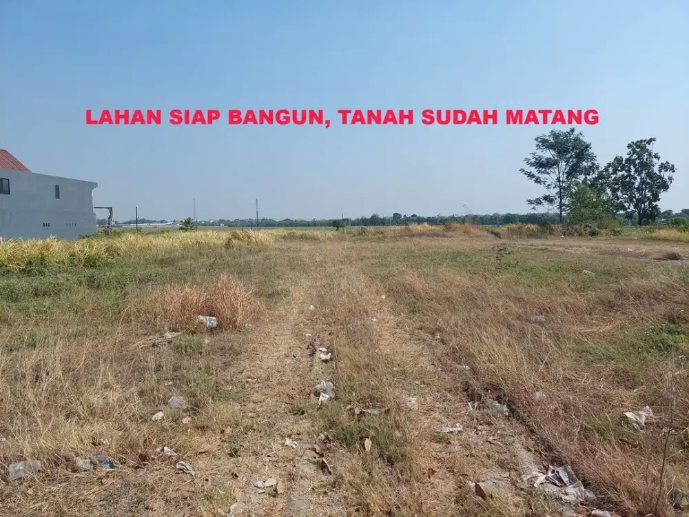 TANAH DEMAK STRATEGIS KELAS BISNIS HARGA EKONOMIS