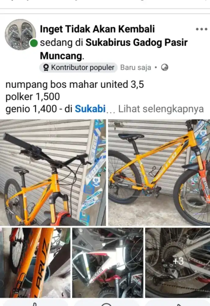 Sepedah mtb AL bruz