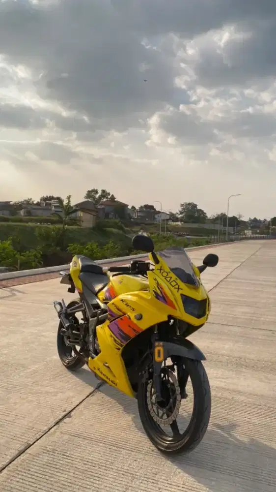 Ninja RR New 2012