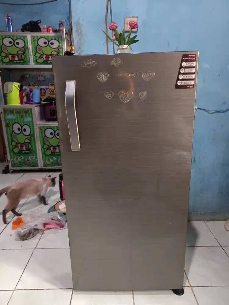 Kulkas 1 pintu Polytron