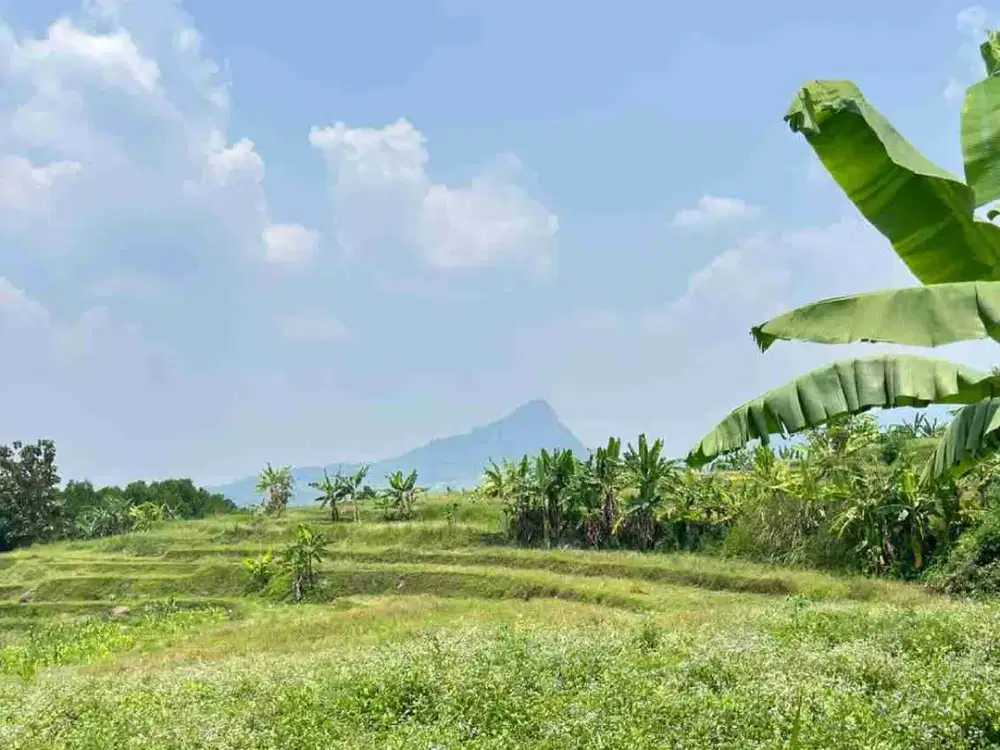di jual tanah darat di puncak dua bogor timur