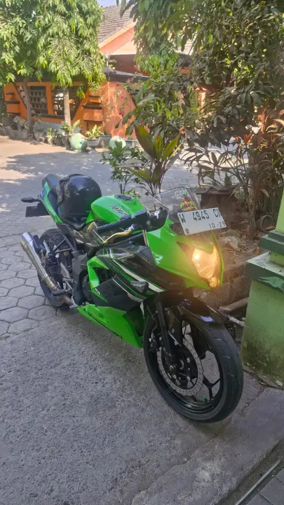 Ninja 250 SL RR Mono Tahun 2014