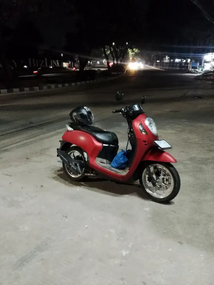 Scupy 2021 mulus