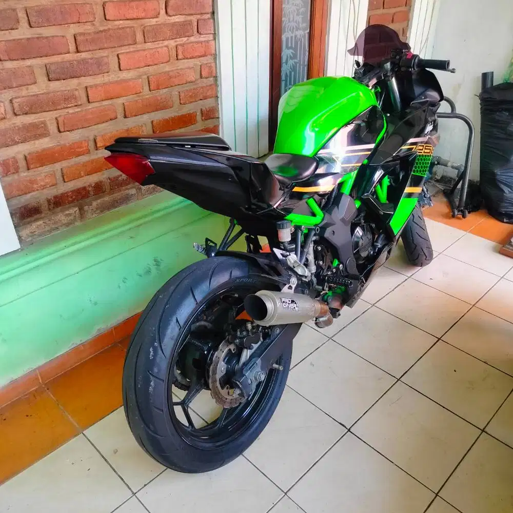Ninja Mono 250 RR
