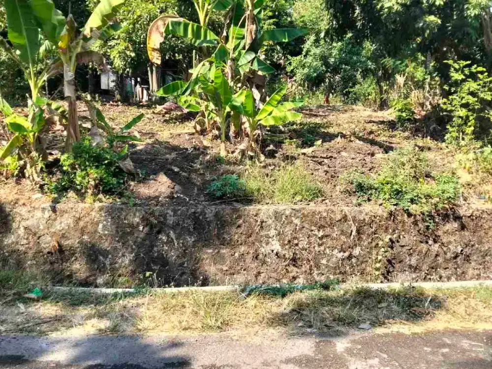 Tanah Ngawi