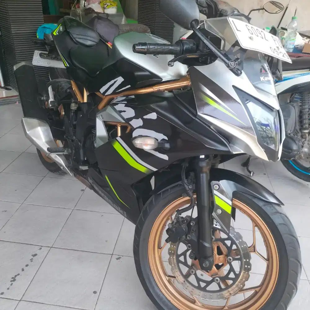 Kawasaki ninja 250 fi mono 2019
