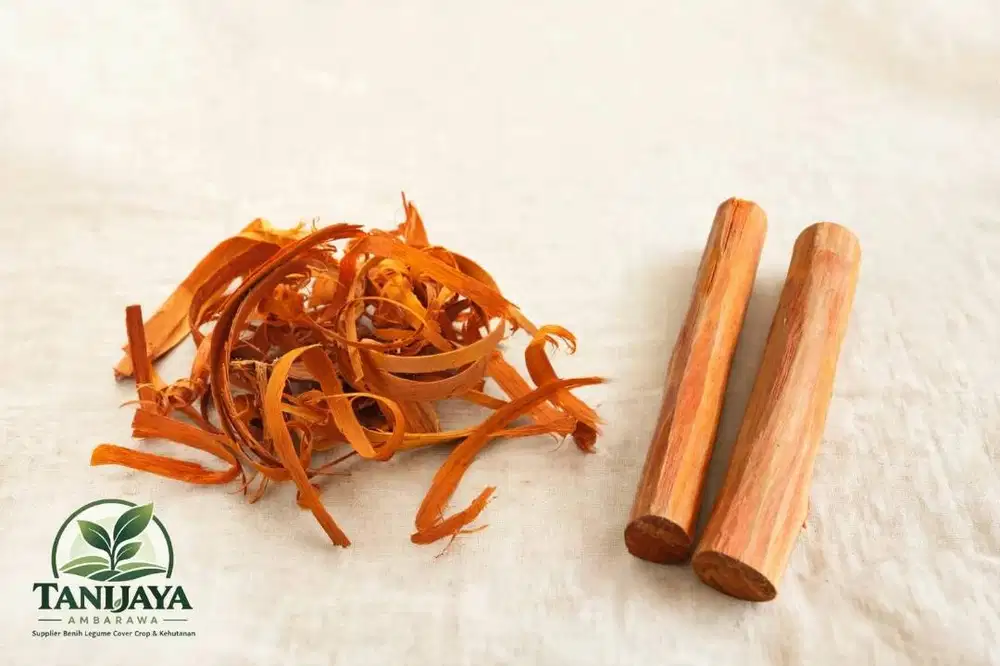 Jual Kayu Secang Kering Rempah untuk Herbal, Minuman Tradisional