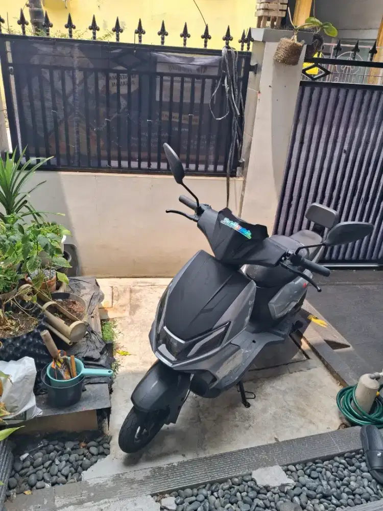 Selis uwinfly D66A