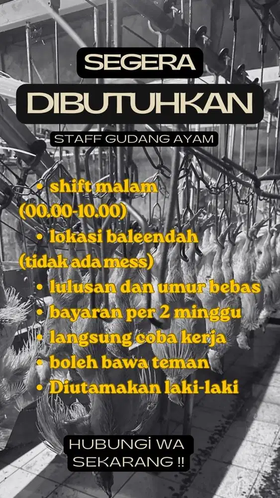 DIBUTUHKAN SEGERA!