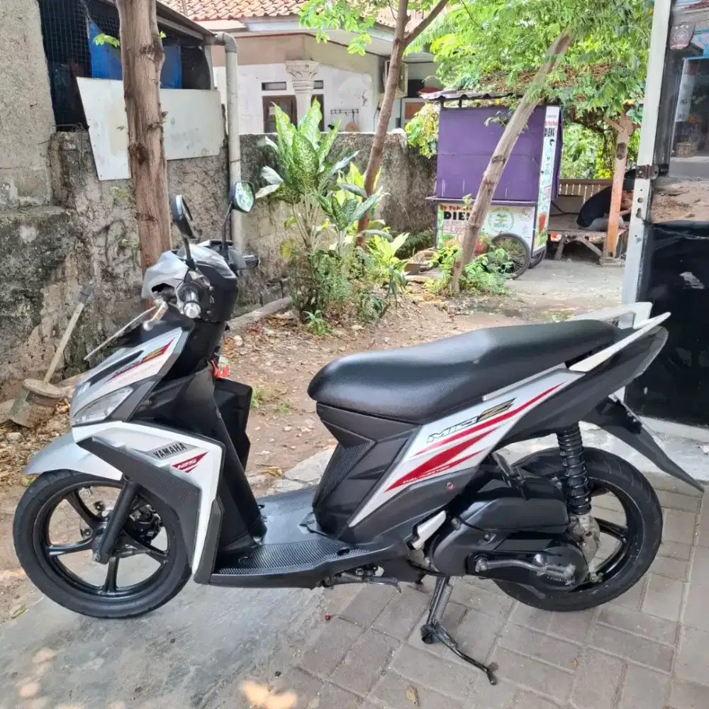 Mio Z taun 2016