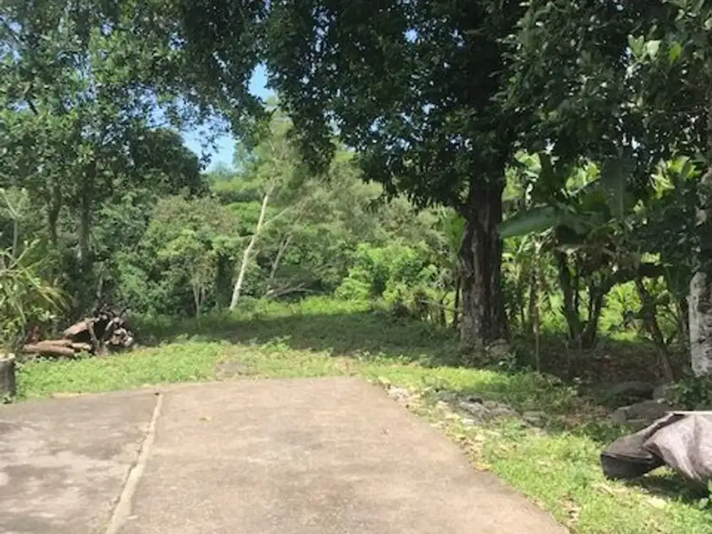 Tanah Murah Pinggir Sungai Cocok Untuk Villa Atau Resort di Desa Tanguntiti, Tabanan