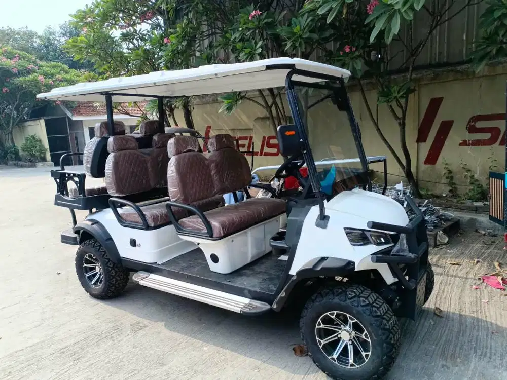 SELIS WISATA PRO ZX GOLF CAR, BUGGY CAR