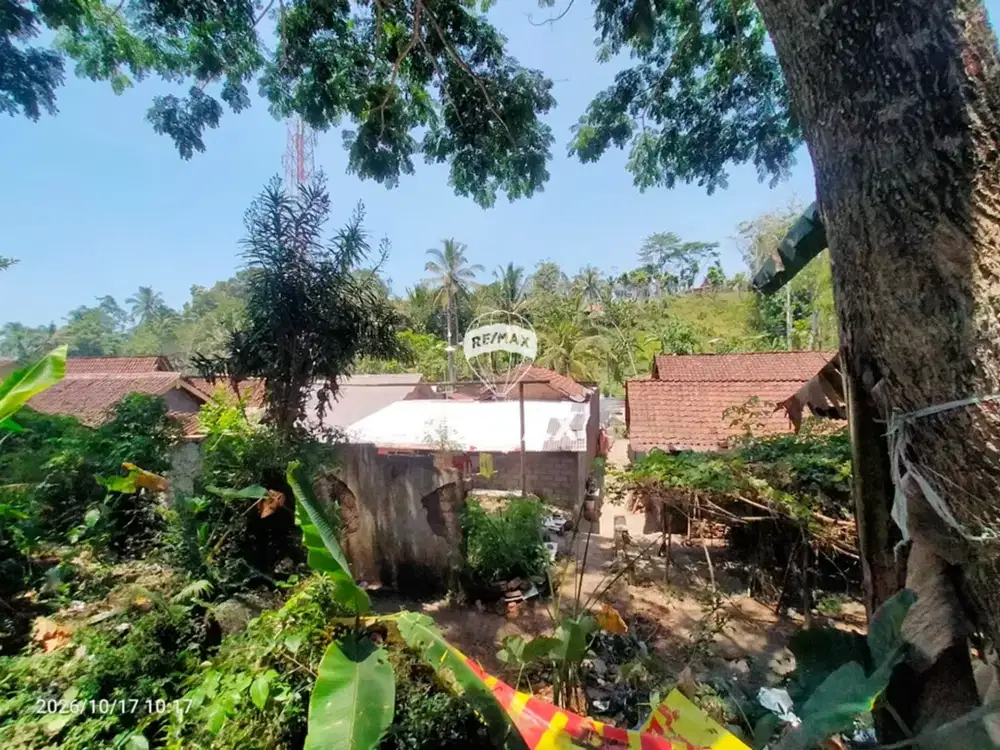 DIJUAL LAHAN KEBUN PRODUKTIF TAMANSURUH LICIN BANYUWANGI