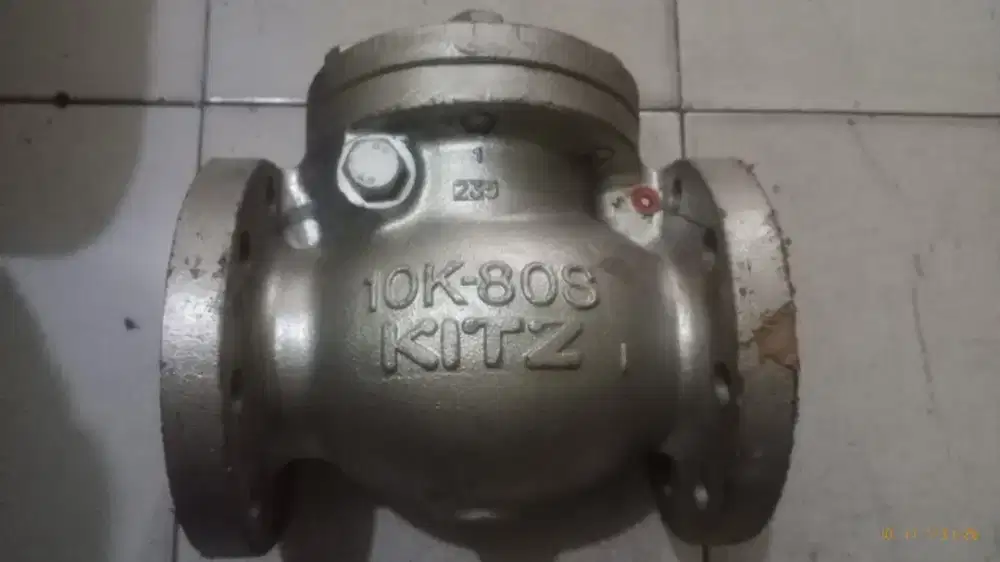 Check valve cast iron kitz