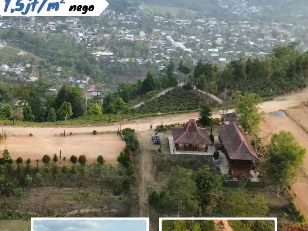 Dijual Villa + Lahan Eksotis Punyan Resthouse Di Kemuning, Ngargoyoso