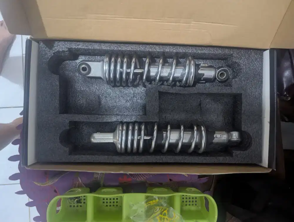 shock motor dbs