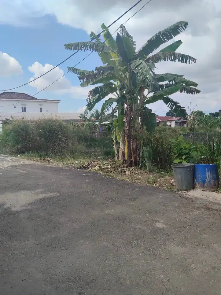 Dijual cepat tanah di jl barangan SHM