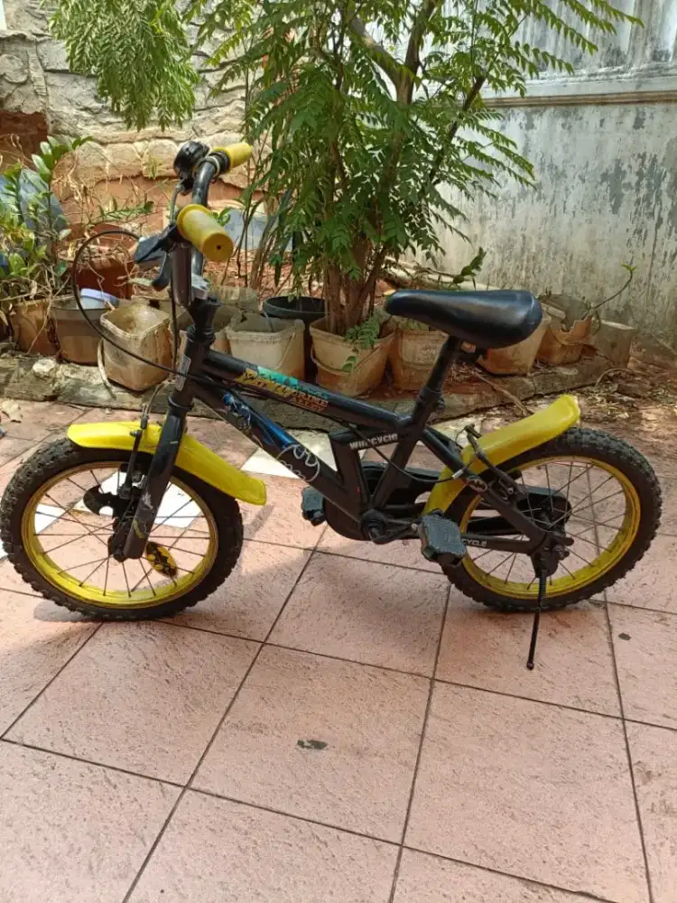 Sepeda anak wim cycle karakter batman