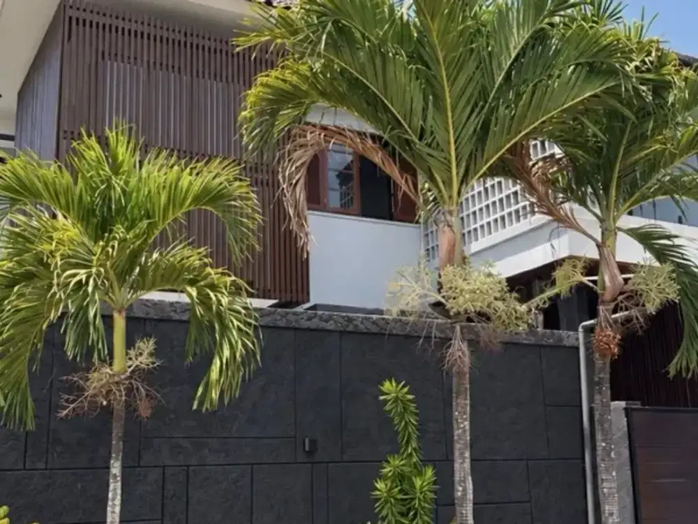 New Brand Contemporary House Saridana - Denpasar Utara