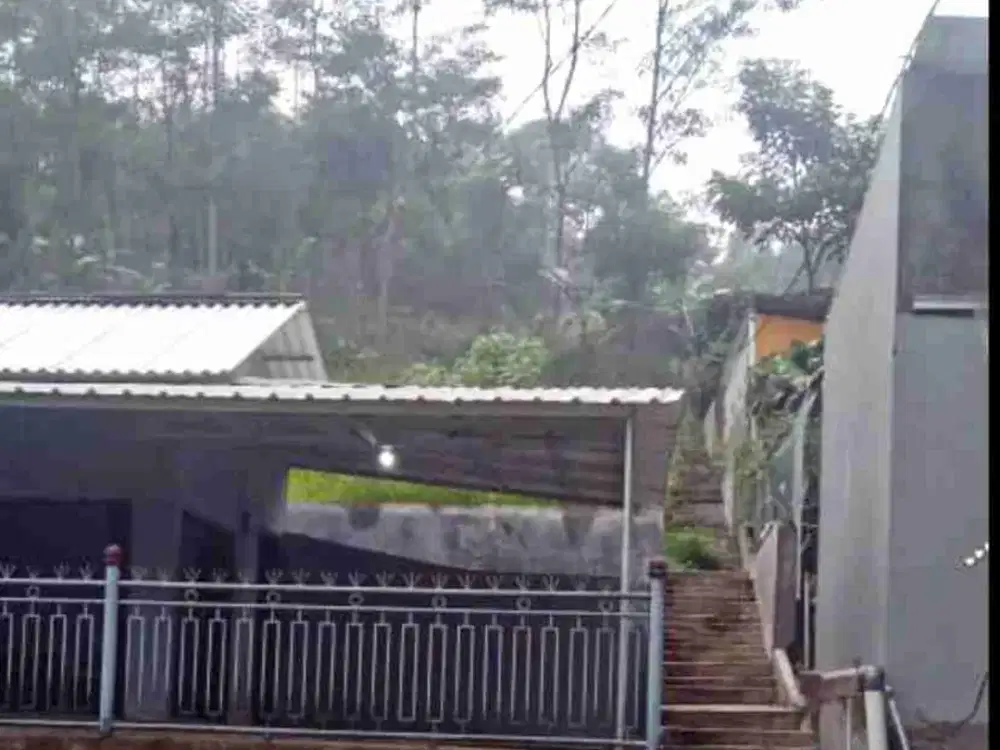 Dijual 3 Unit Rumah Dengan Halaman Luas