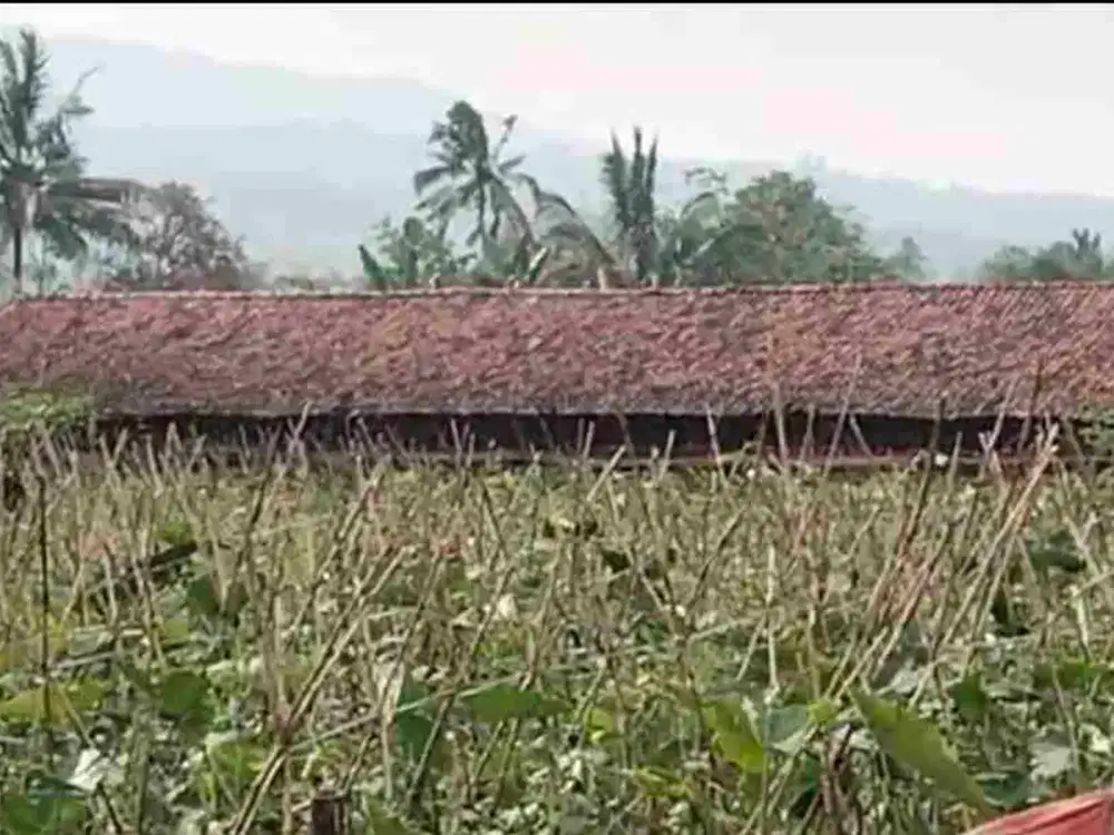 di jual tanah darat di lido bogor