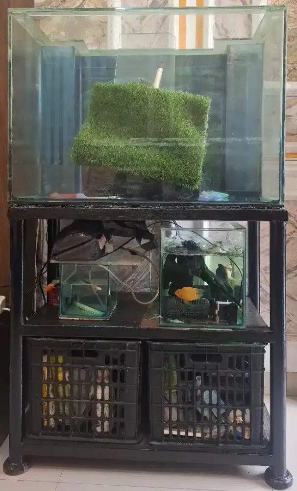 aKuarium aQuarium PAKET Murah ONLY 500rb