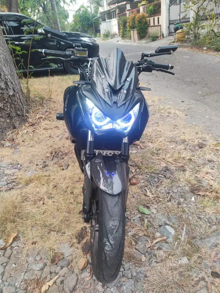 Kawasaki z 250 z250 2013