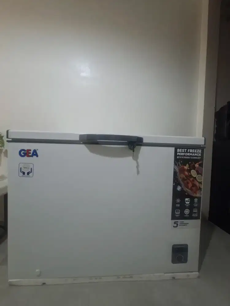 Freezer Box GEA 318 Liter AB-318-R