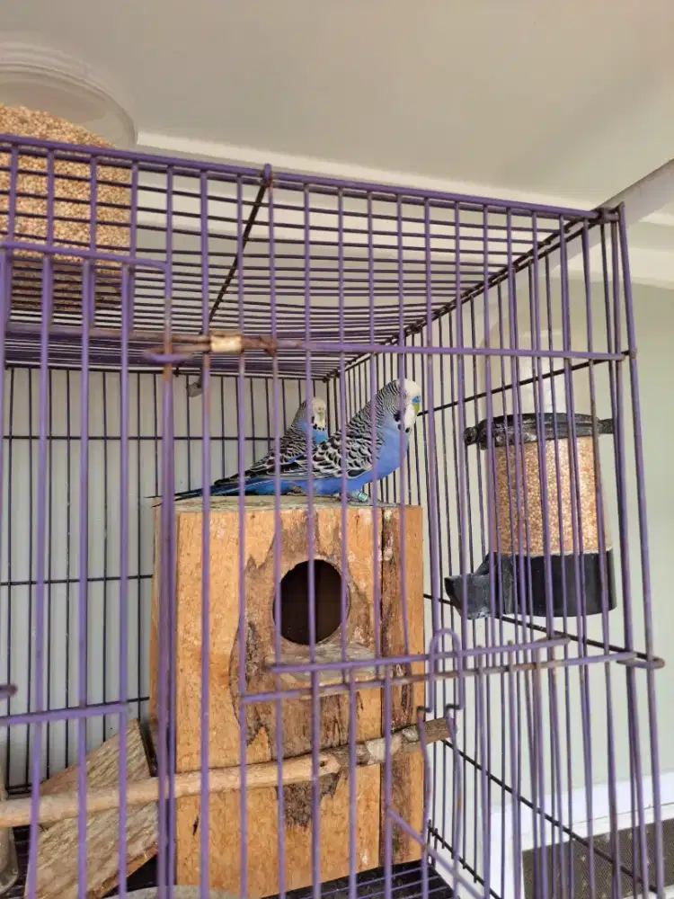 Jual PARKIT PB sepasang