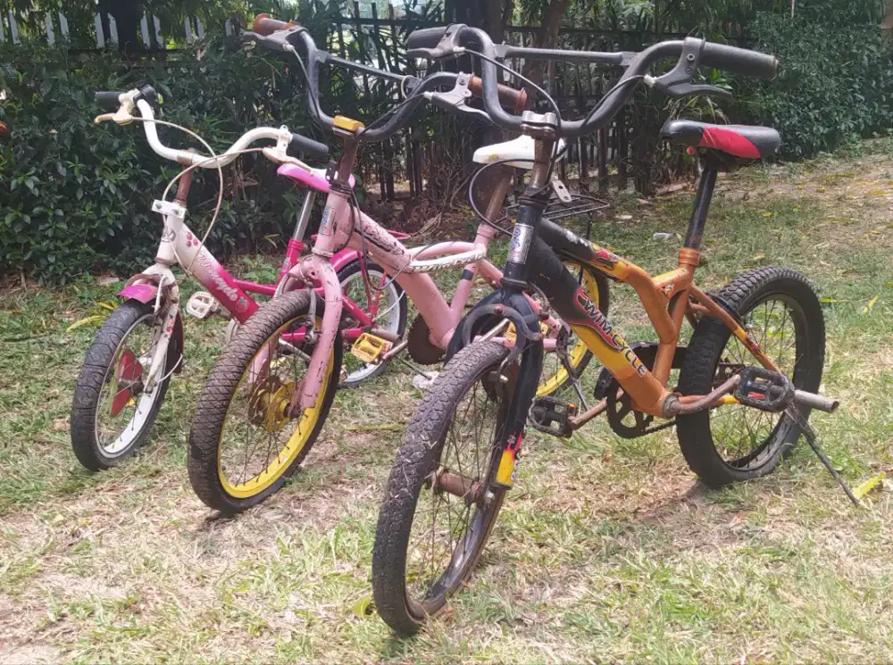 Sepeda anak wimcycle 12 & 14 inch
