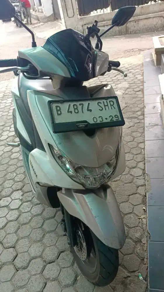 Freego tahun 2019
