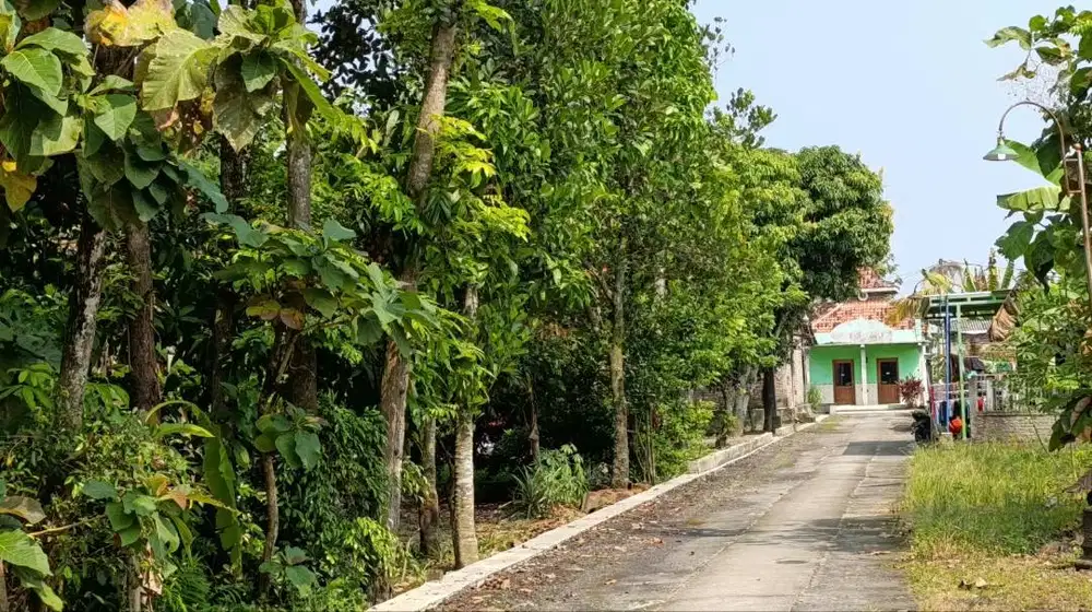 Tanah Datar Murah Sragen 621m Patihan Sidoharjo Cocok untuk Rumah