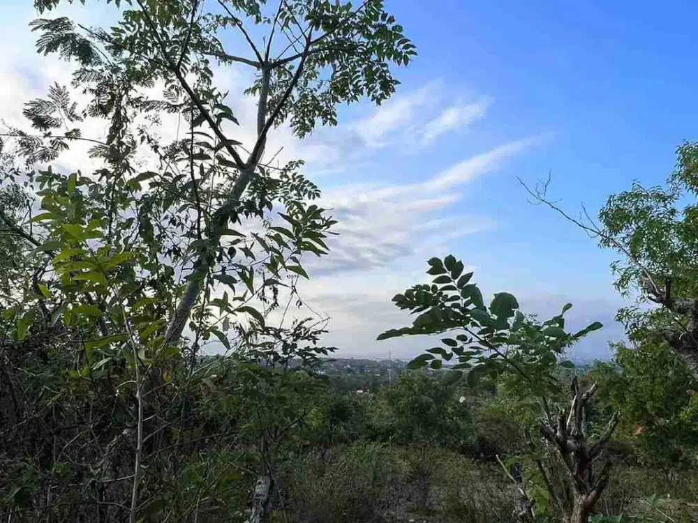 Tanah Zona Pink 60 are di Uluwatu View Ungasan Kuta Selatan Badung