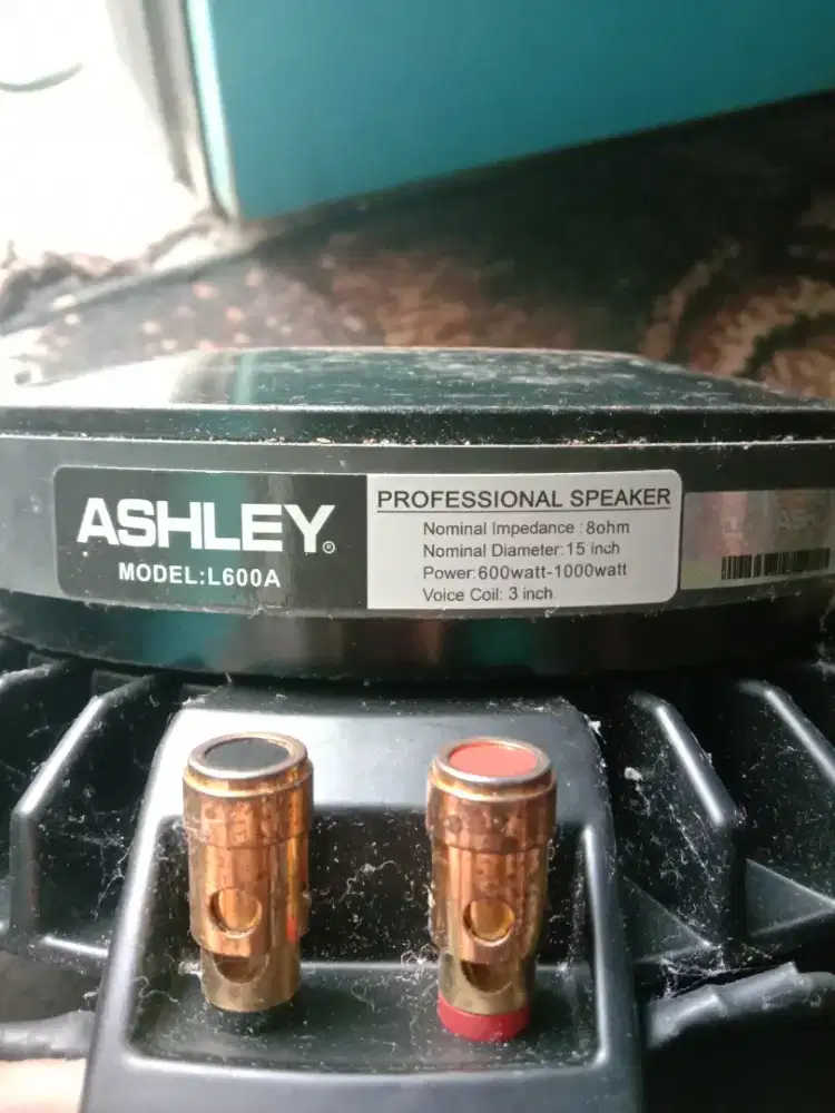 spiker asley 15 inch