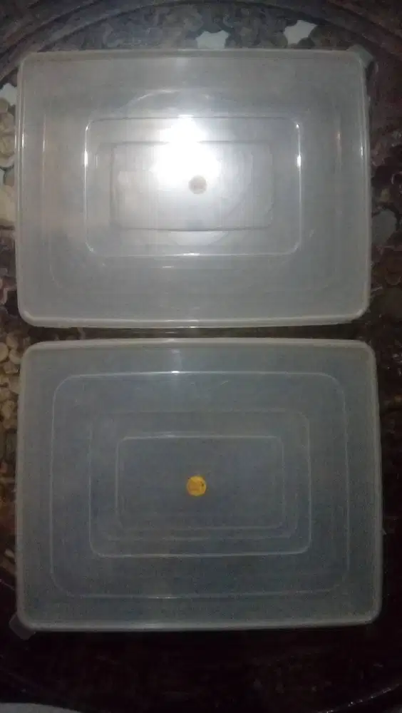 Tupperware GM Donat II