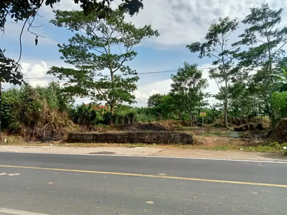 Tanah kavling di Purwakarta, Posisi Mainroad Jl raya Provinsi