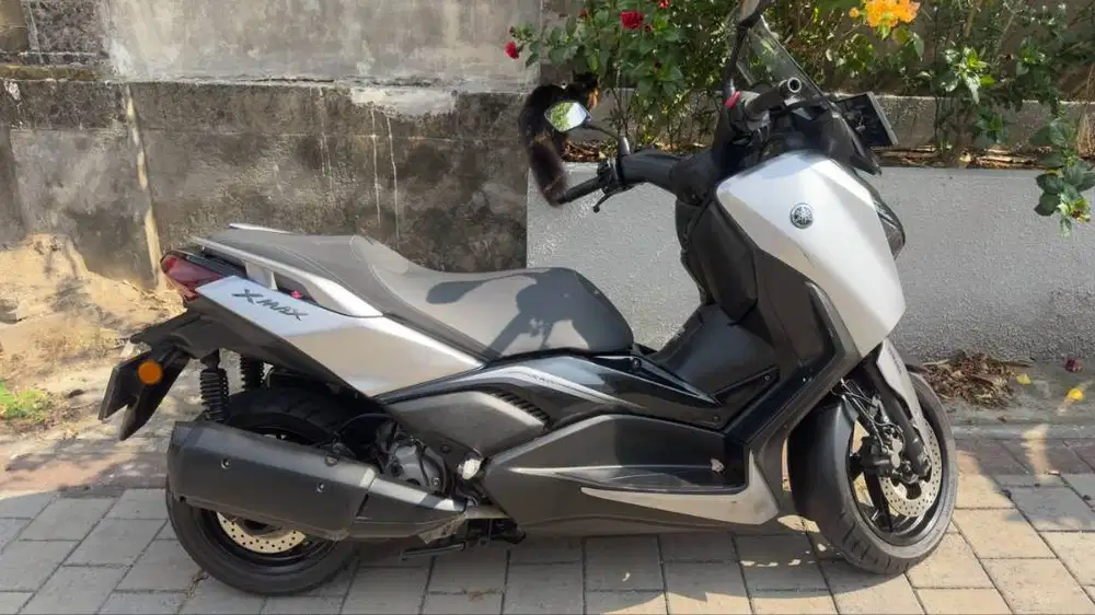 Yamaha XMAX 250 Connected 2025 Silver