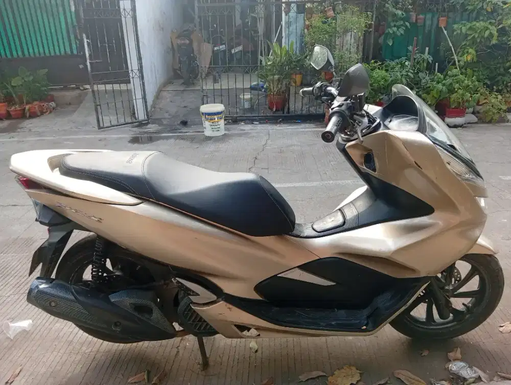 Pcx 150 cbs gold 2018