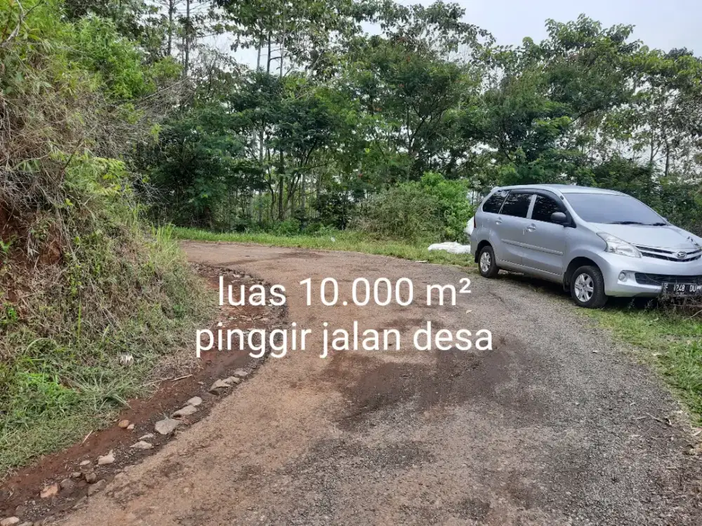Tanah di jual cepat,pinggir jalan desa