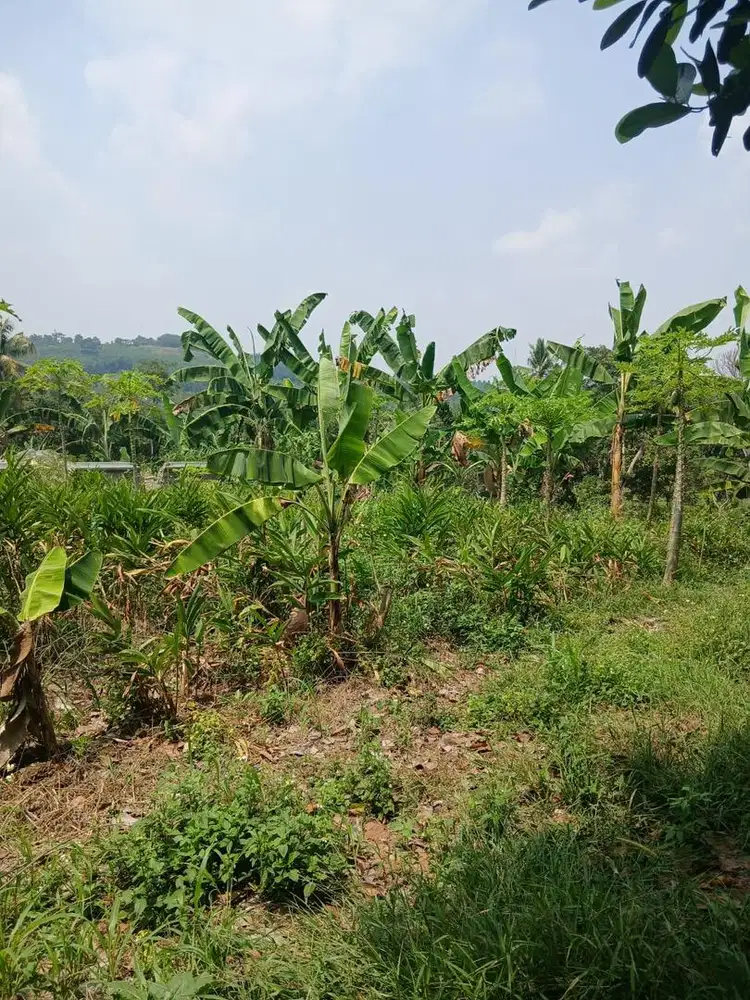 Dijual Tanah Strategis