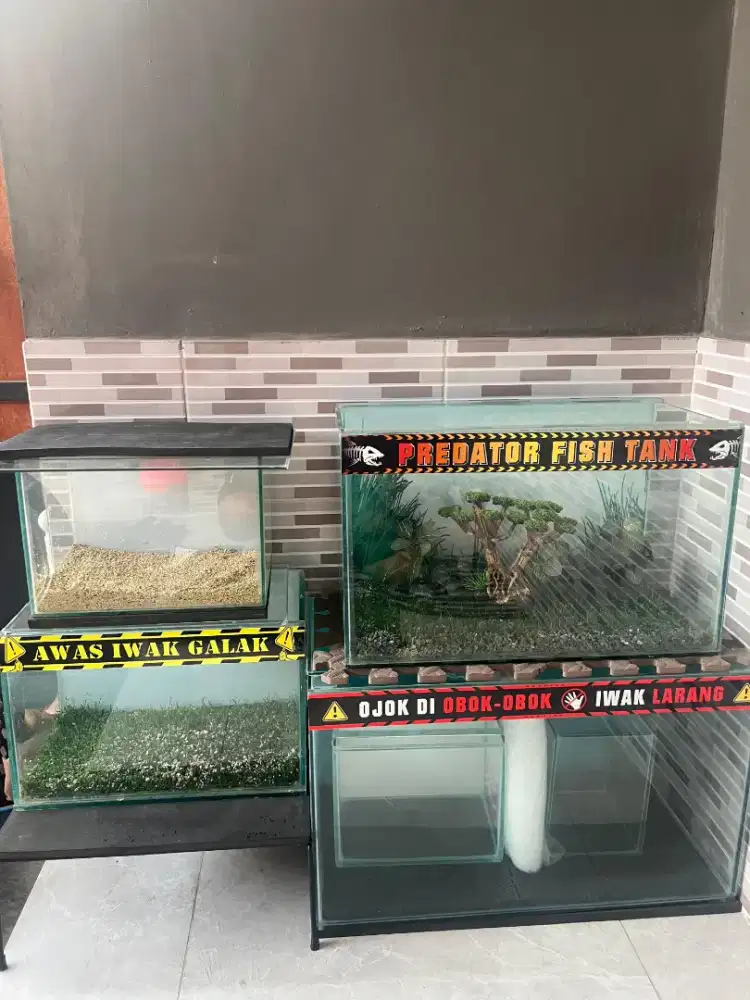 Akuarium murah borongan