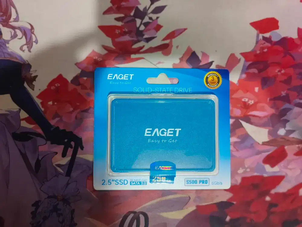 SSD EAGET 256gb (sata)